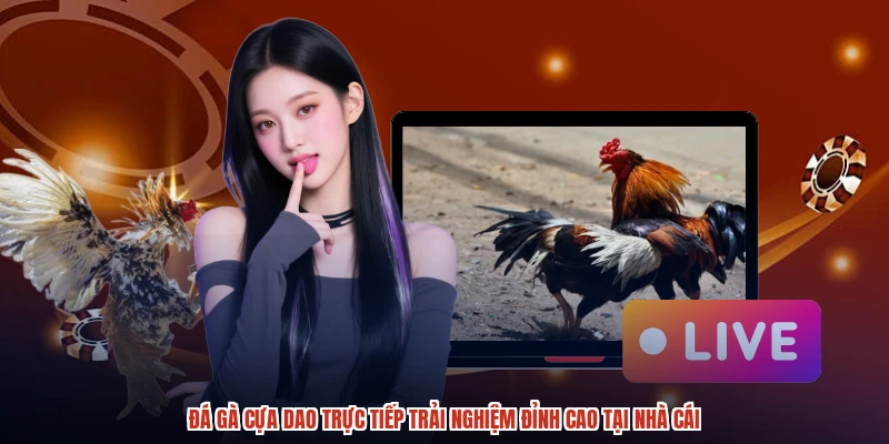 Đá Gà Cựa Dao Trực Tiếp Trải Nghiệm Đỉnh Cao Tại Nhà Cái