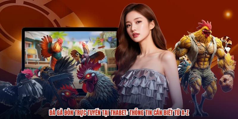 Đá Gà Đòn Trực Tuyến Tại THABET Thông Tin Cần Biết Từ A-Z