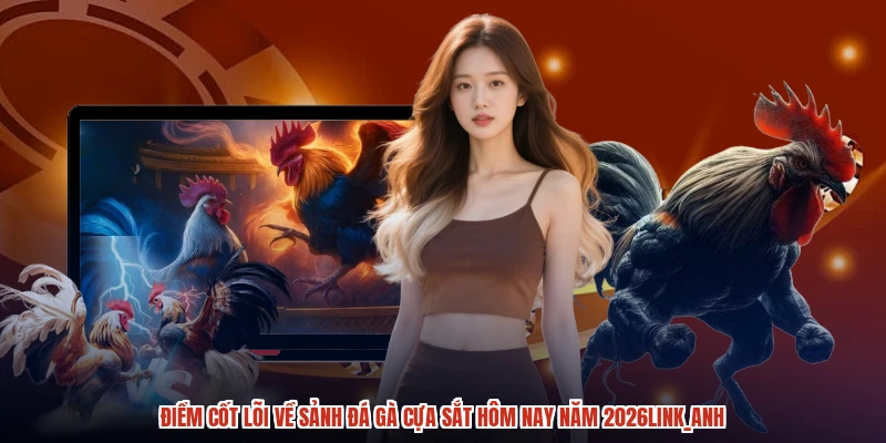Điểm cốt lõi về sảnh đá gà cựa sắt hôm nay năm 2026anh Điểm cốt lõi về sảnh đá gà cựa sắt hôm nay năm 2026anh