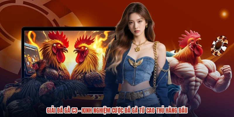 Giải Đá Gà C3 - Kinh Nghiệm Cược Đá Gà Từ Cao Thủ Hàng Đầu