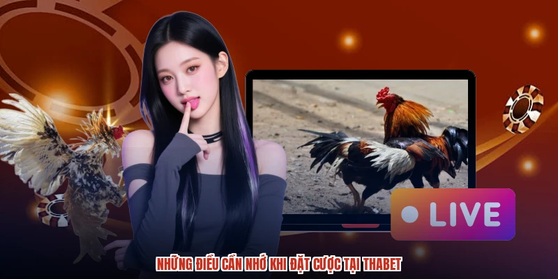 Những điều cần nhớ khi đặt cược tại THABET