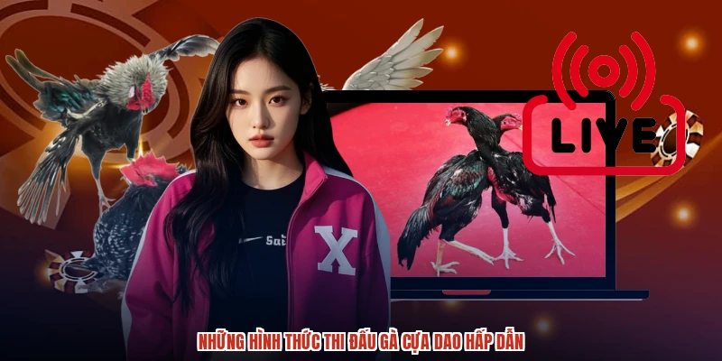 Những hình thức thi đấu gà cựa dao hấp dẫn