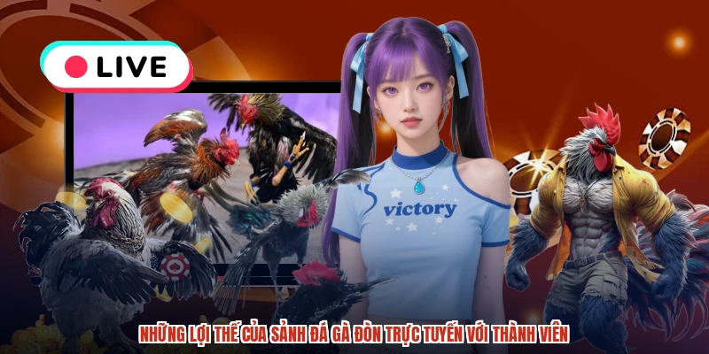 Những lợi thế của sảnh đá gà đòn trực tuyến với thành viên
