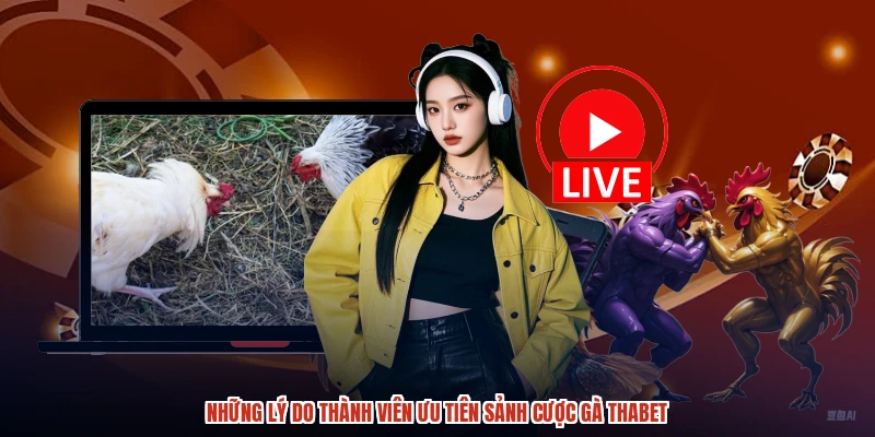 Những lý do thành viên ưu tiên sảnh cược gà THABET