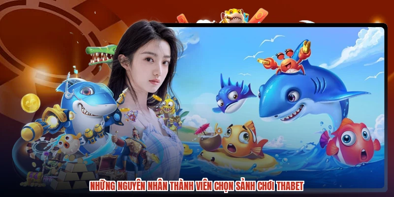 Những nguyên nhân thành viên chọn sảnh chơi THABET