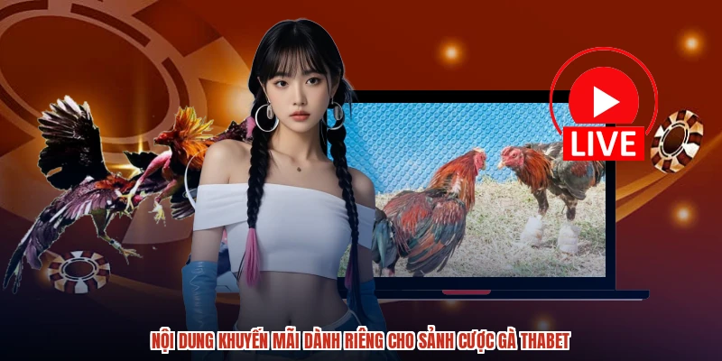 Nội dung khuyến mãi dành riêng cho sảnh cược gà THABET
