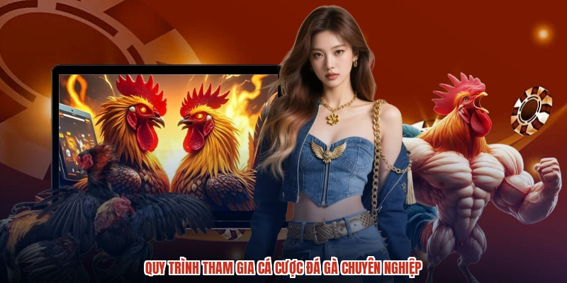 Quy trình tham gia cá cược đá gà chuyên nghiệp