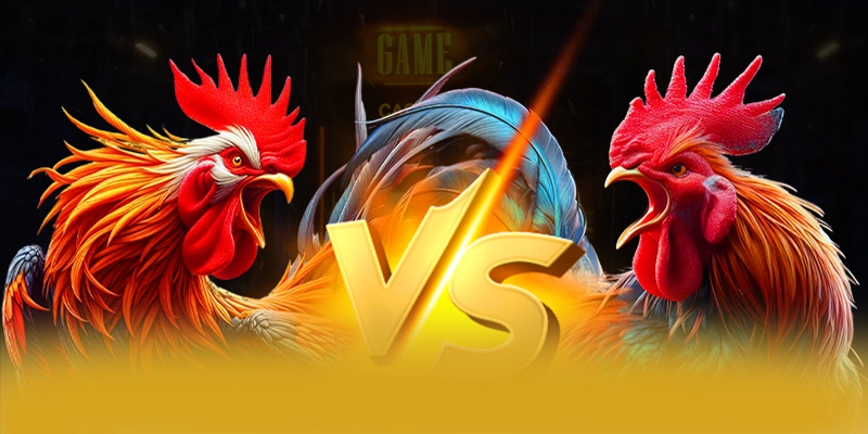 Lợi thế cạnh tranh của 8XBET trong cùng phân khúc Lợi thế cạnh tranh của 8XBET trong cùng phân khúc