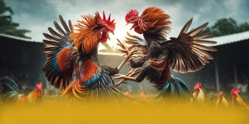 Đội ngũ chăm sóc khách hàng tại [THUONG_HIEU]