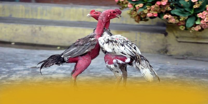 Hệ thống thanh toán nhanh chóng và an toàn tại W88 Hệ thống thanh toán nhanh chóng và an toàn tại W88